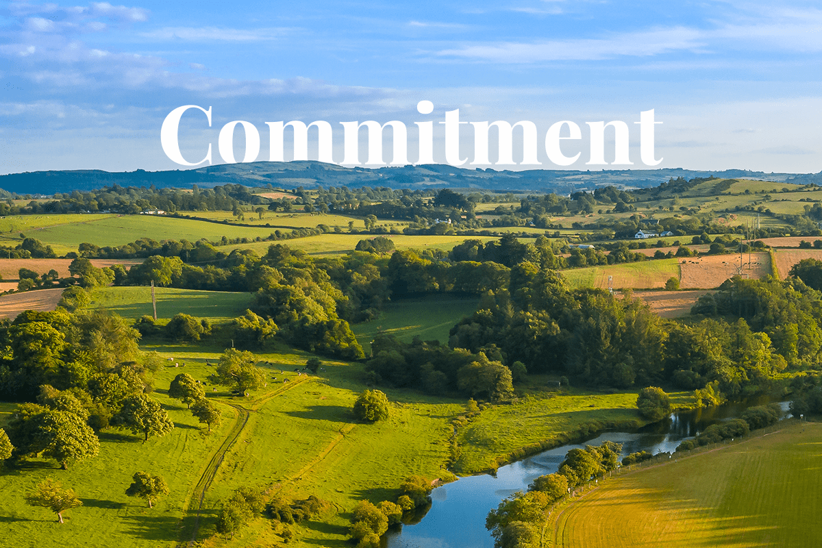 LEDP commits to planting 7,000 native Irish trees to boost biodiversity